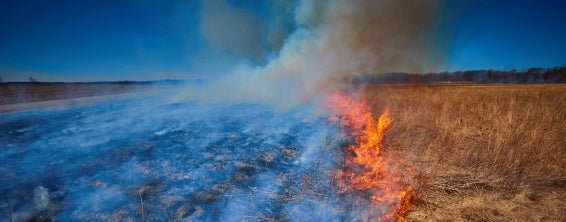 Wildfire burning through brush land