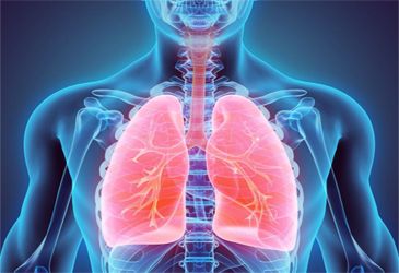 Now is the time to look after your lungs