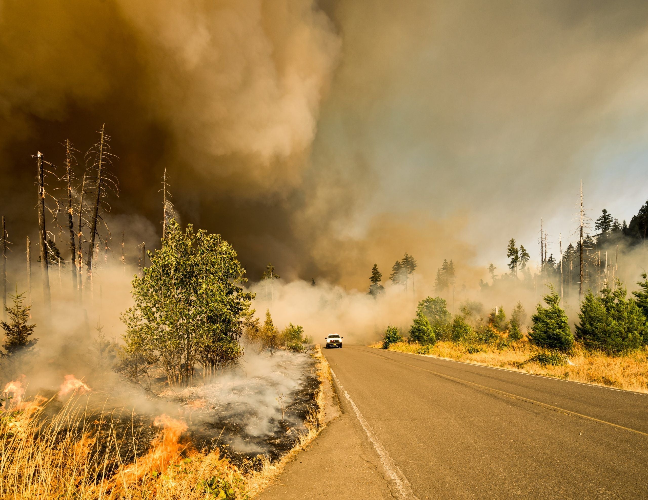 Austin Air is Helping Wildfire Victims Get Cleaner, Safer Indoor Air