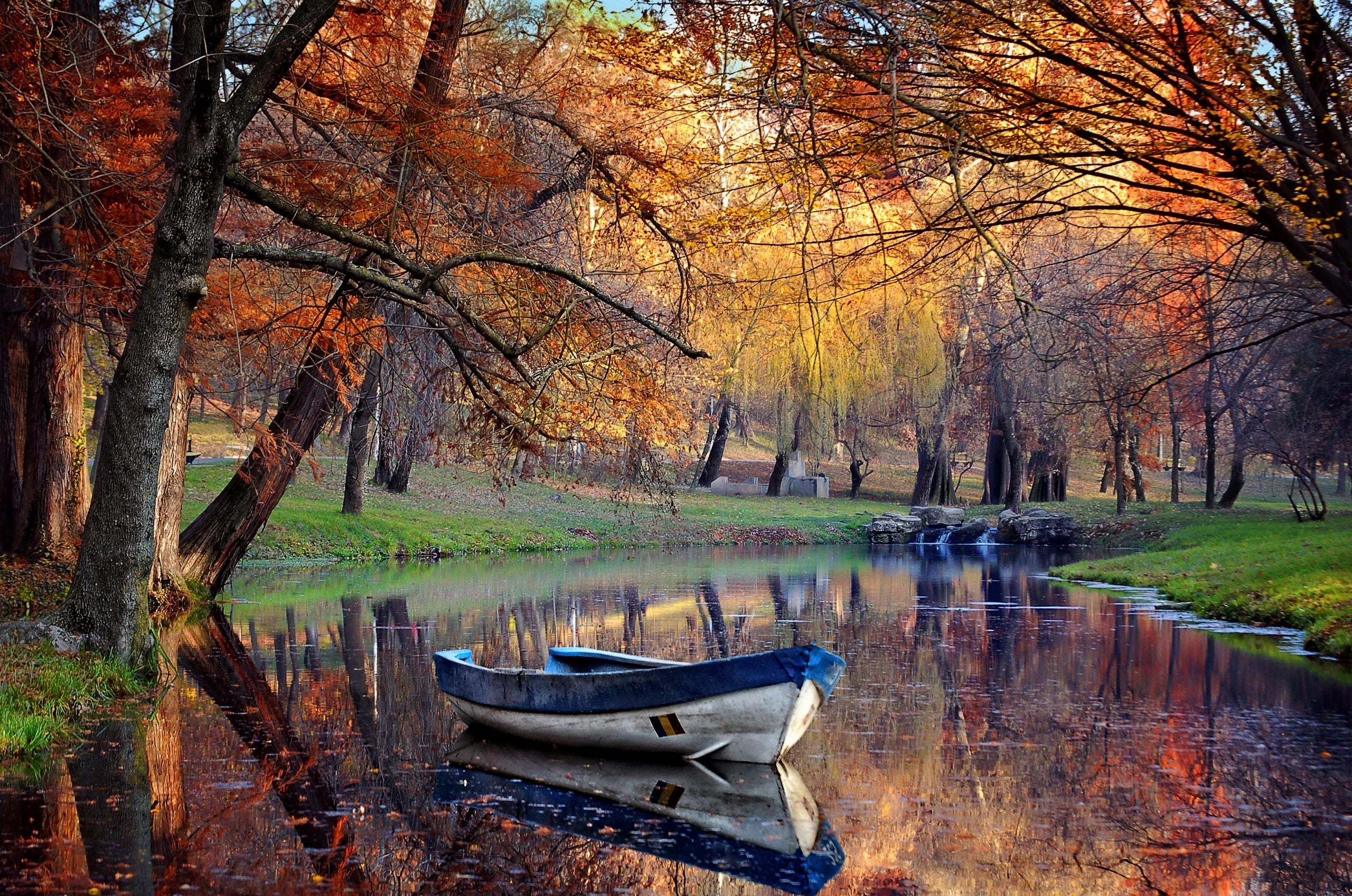 Keep Your Allergies and Asthma in Check This Fall