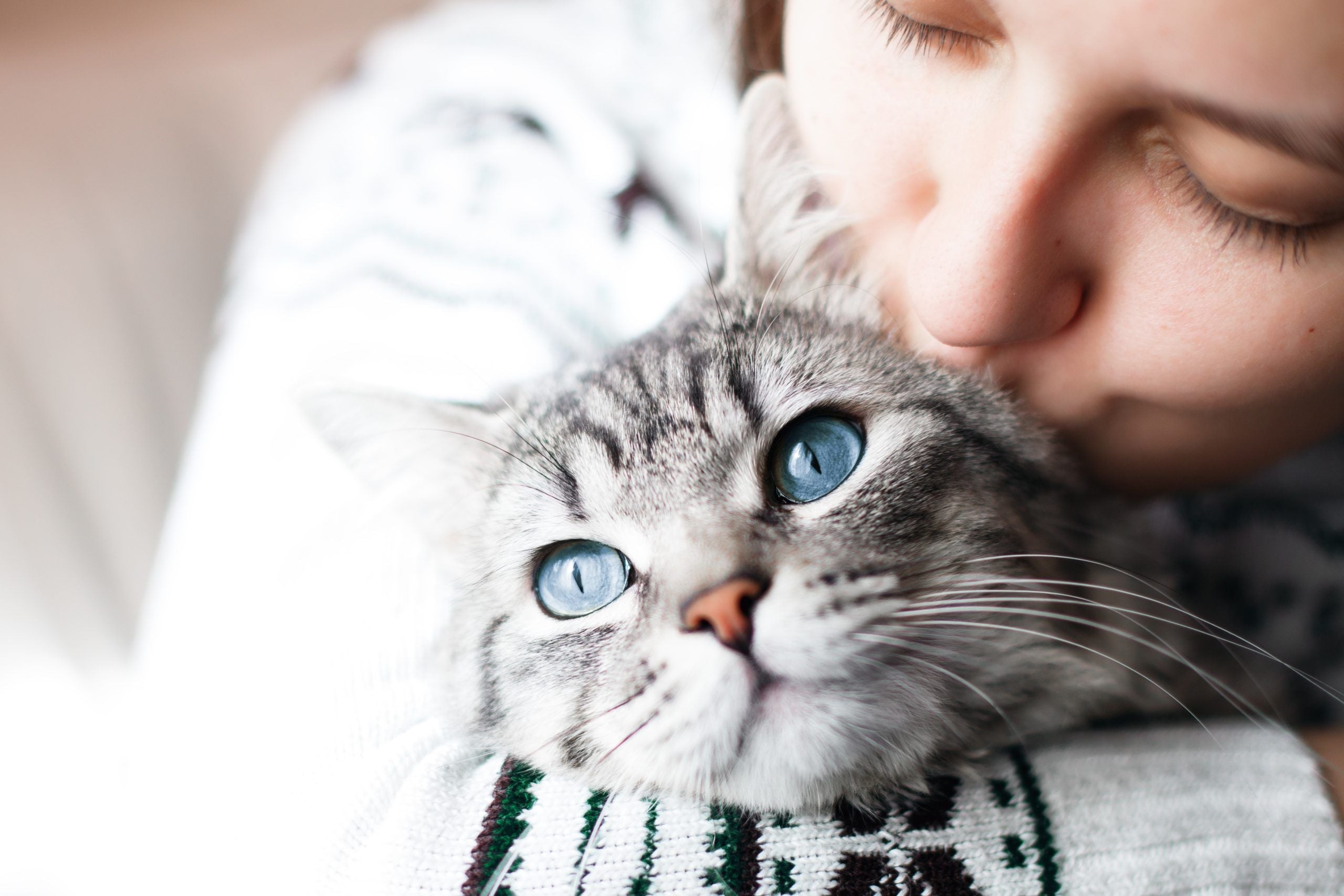 Does your cat have asthma?