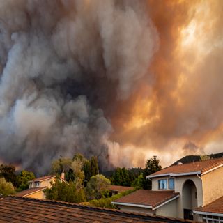 Smoke from wildfires carries microbes and is more toxic that traffic fumes