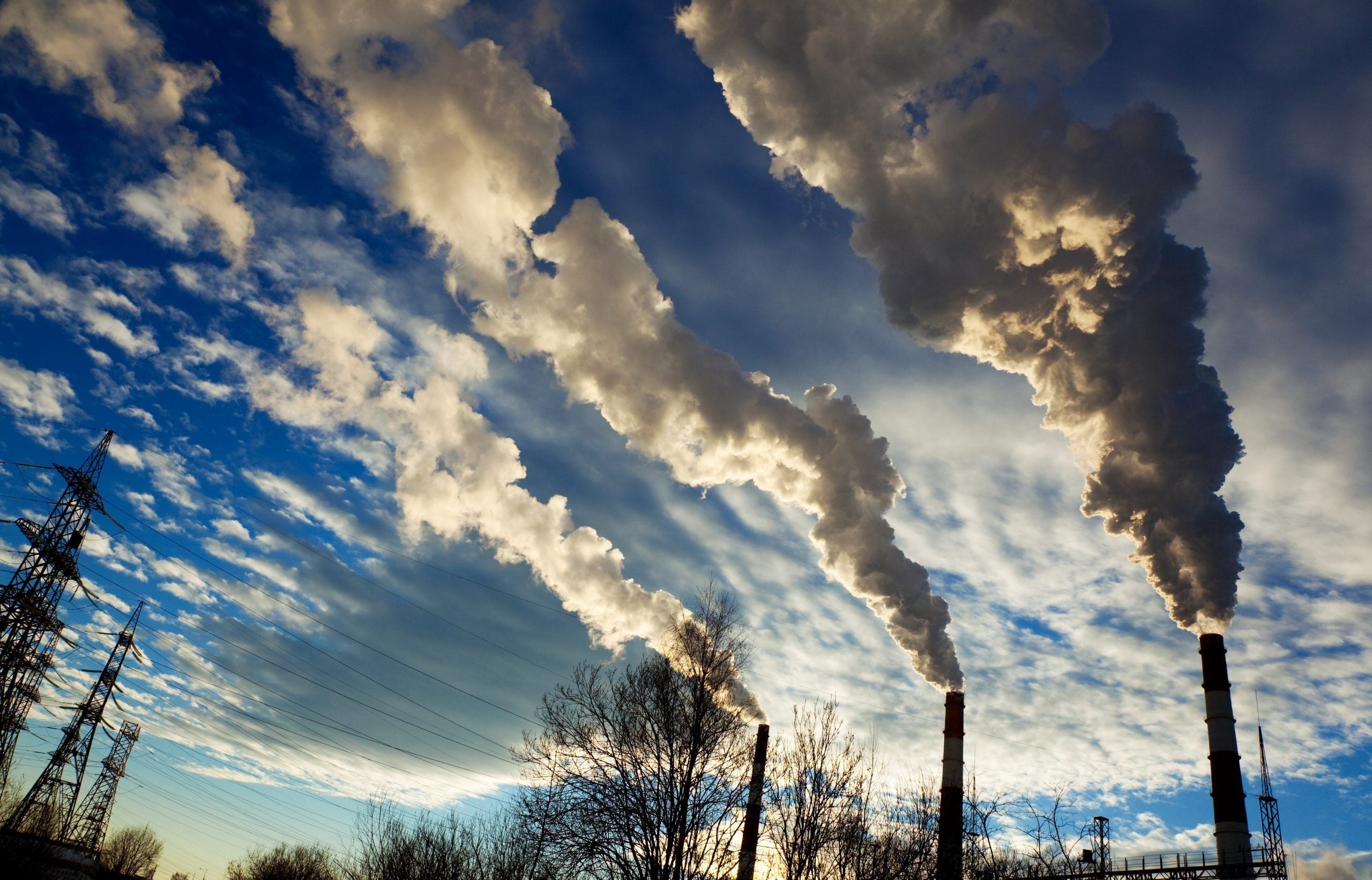 Air pollution dramatically reduces intelligence