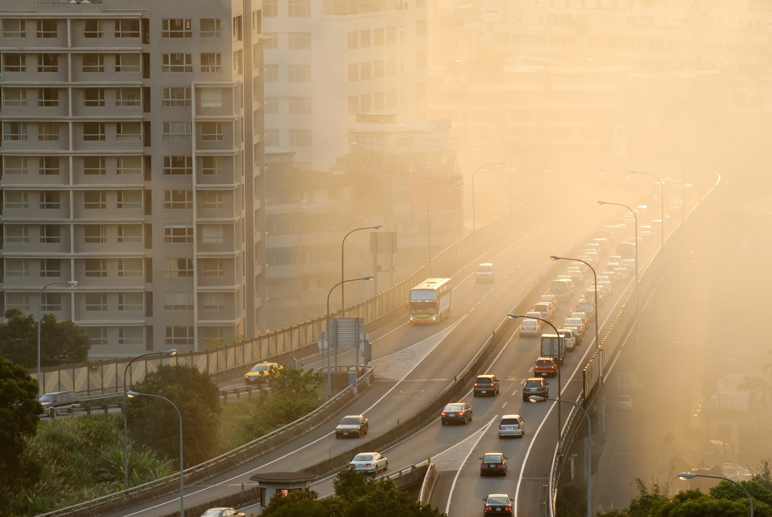 What is the ‘social cost of carbon’?