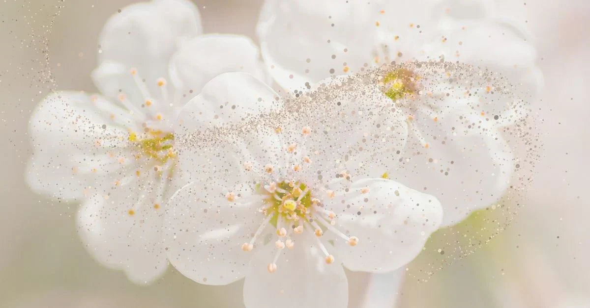 Spring   Allergies   Out   of   Control?   It’s   Not   Just   Pollen