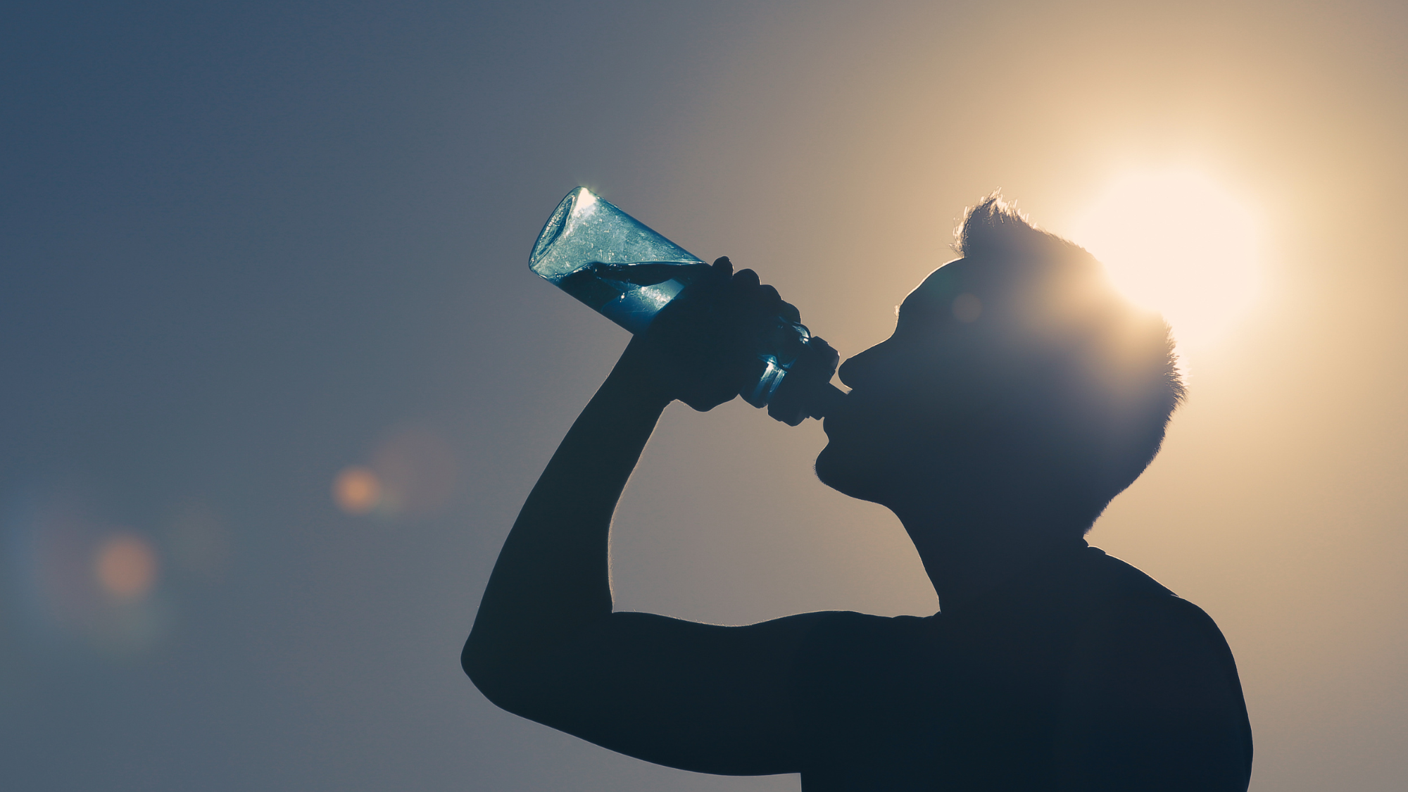 Detox From Chemical Exposure Blog Series Week 3: The Detox Product Guide