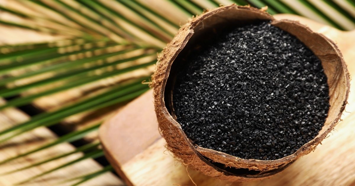 A photo of an open half of a coconut shell filled with activated carbon granules. In the background, on the right, there are palm fronds. 