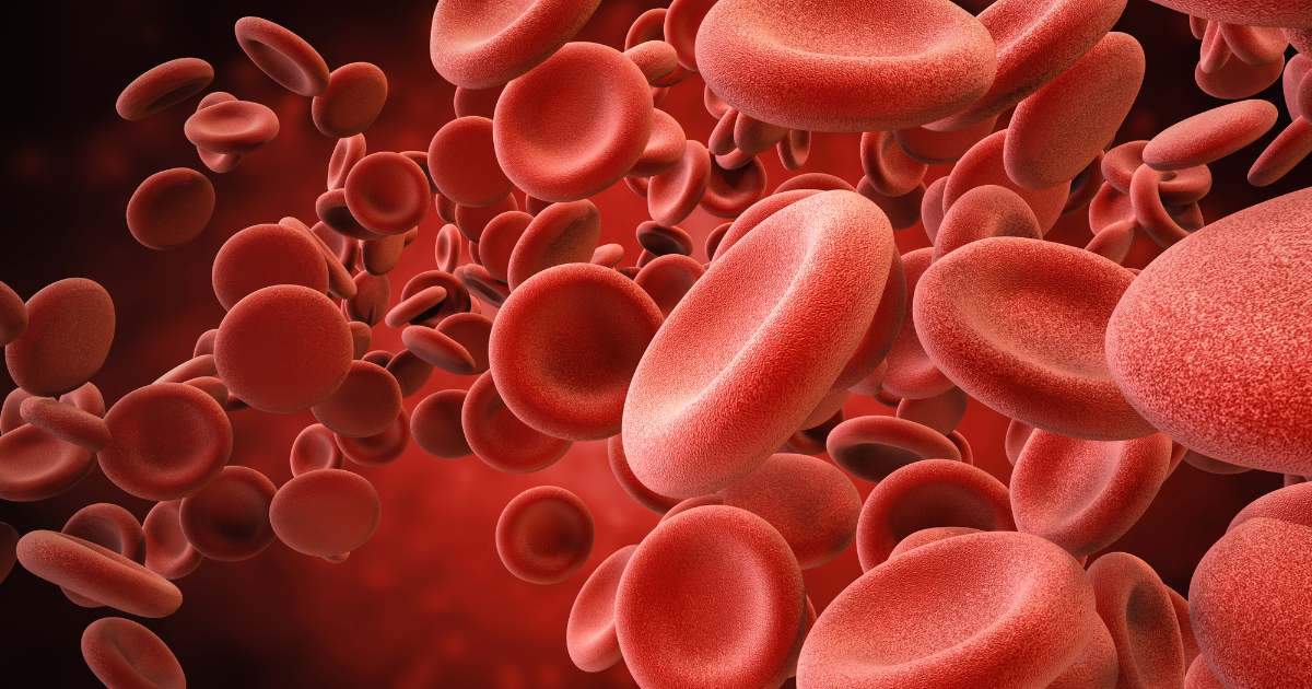 Microscopic image of blood cells 