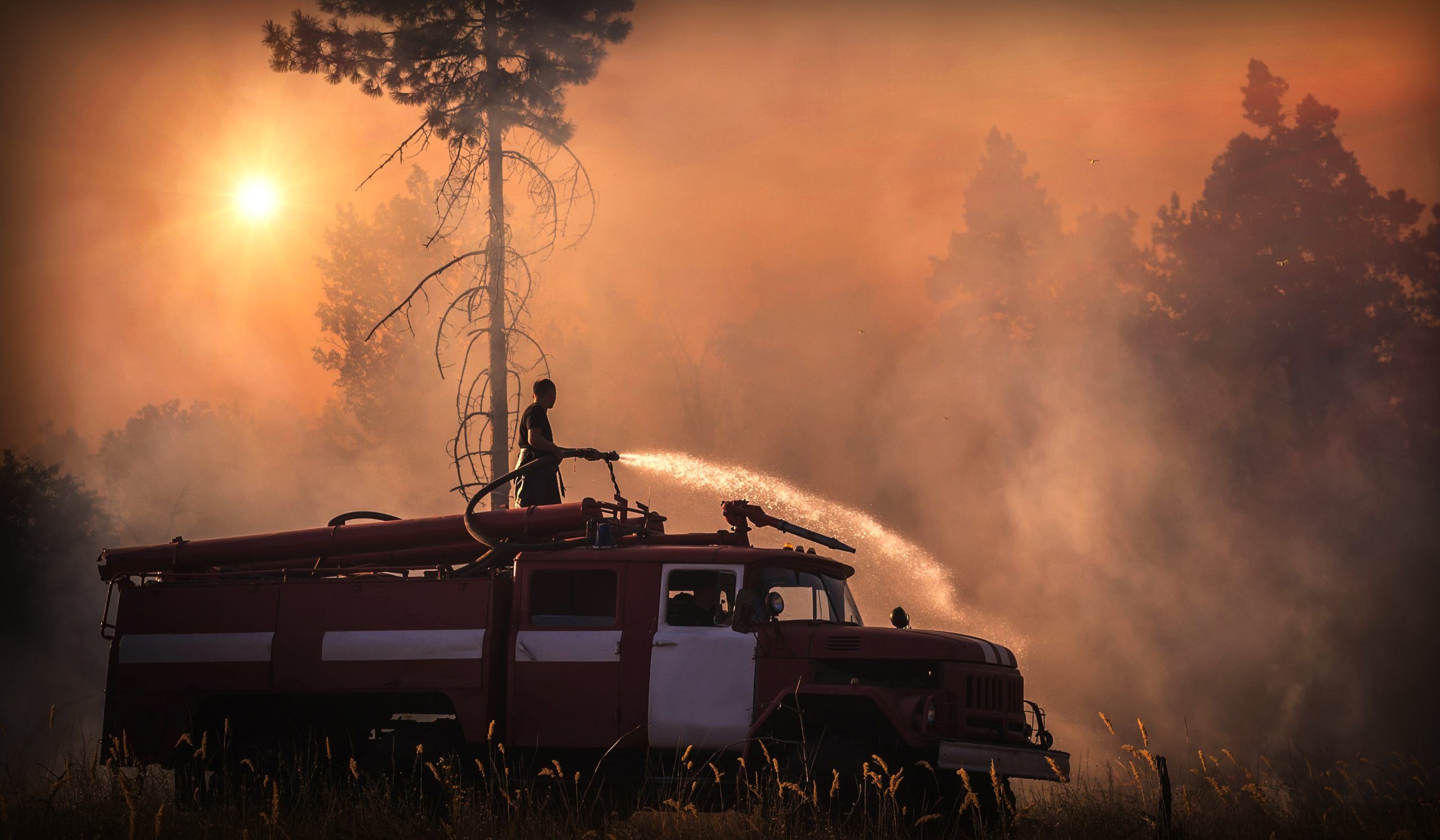What happens when the smoke clears? The effects of wildfire smoke could be irreversible