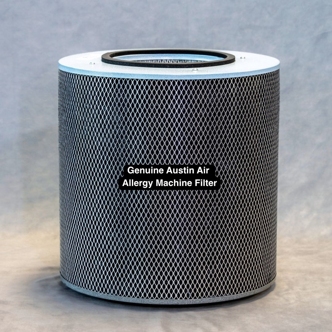 Austin Air Allergy Machine Filter