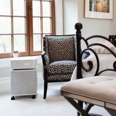 Austin air bedroom machine air purifier in a living room with furniture and a window.