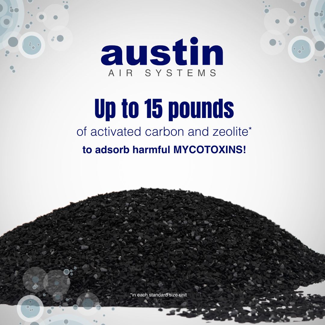 Advertisement for Austin Air Systems with activated carbon and zeolite on a white background
